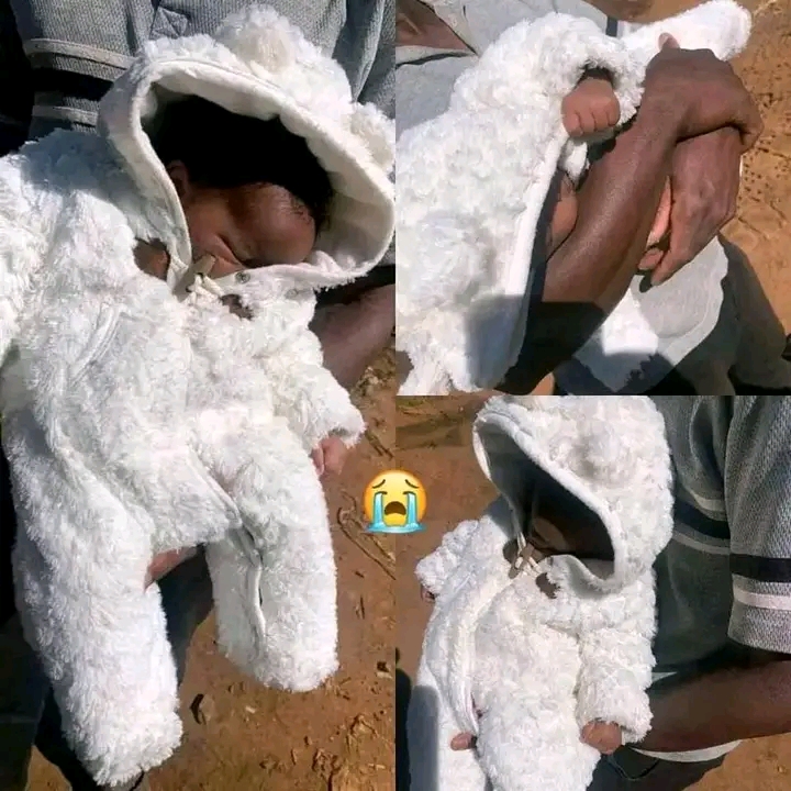 Newborn Baby Rescued After Being Abandoned in the Bush Near Musina
